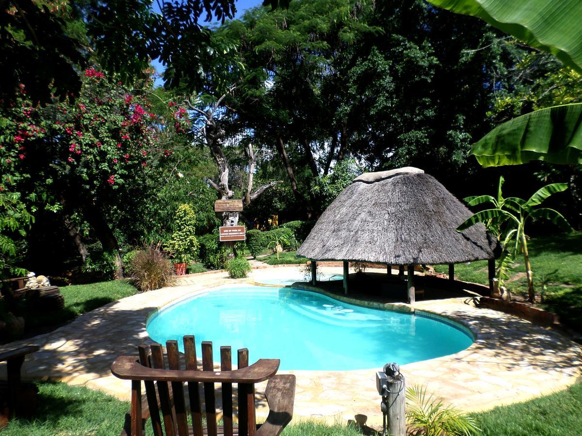 רונדו Tambuti Lodge מראה חיצוני תמונה