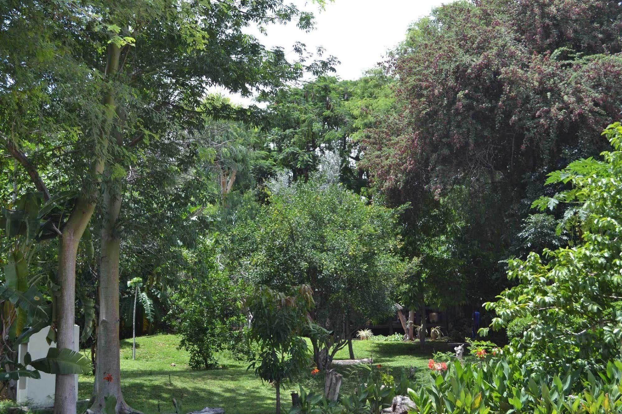 רונדו Tambuti Lodge מראה חיצוני תמונה